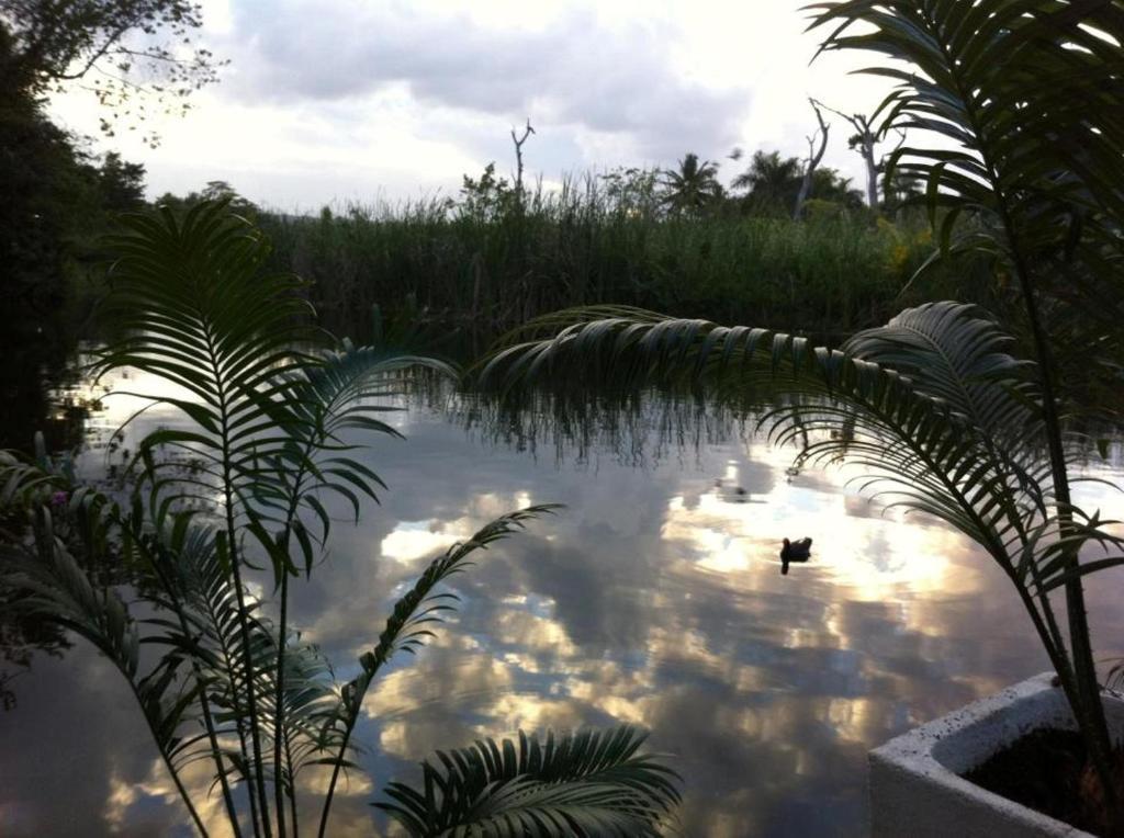 Aparthotel Albatros Cabarete Exteriér fotografie